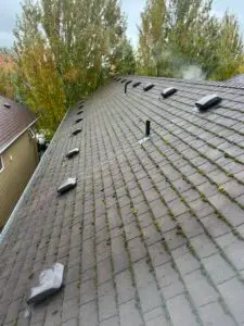 Roof and Gutter Cleaning, Shelf Installation in Vancouver